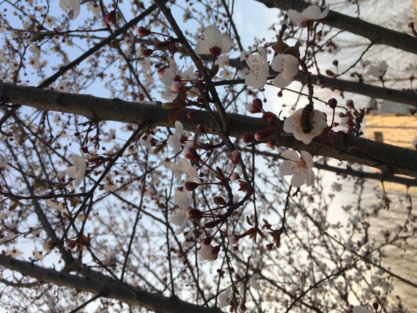 ֮
